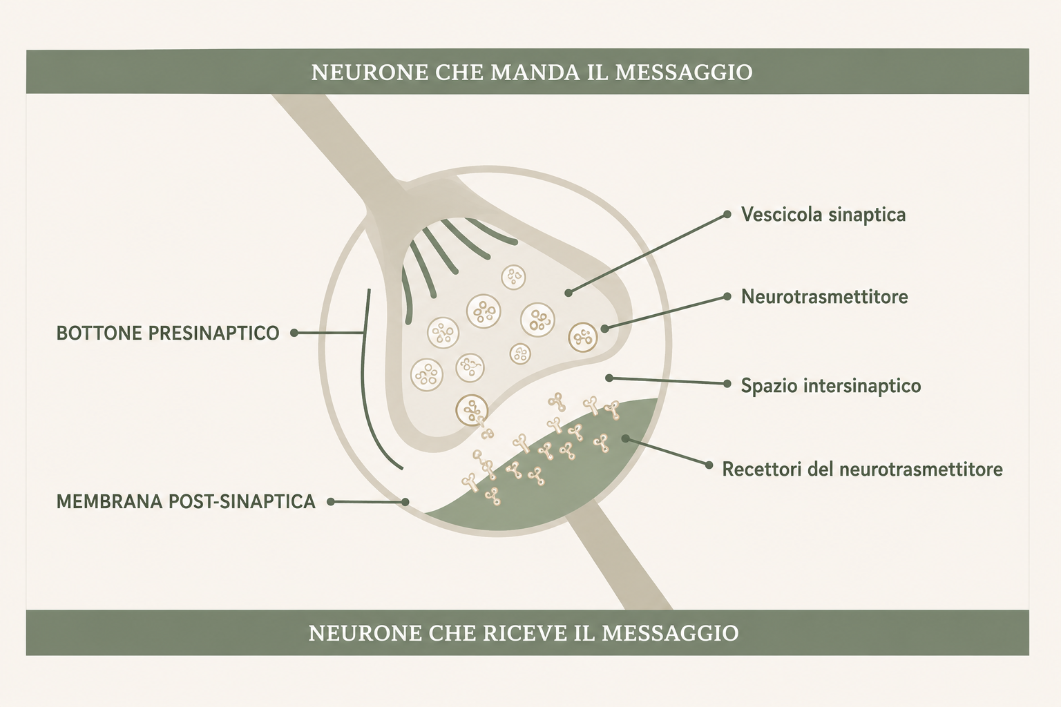psicologa e psicoterapeuta a vigevano